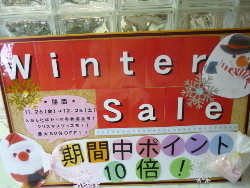 ☆WINTER SALE 2010☆